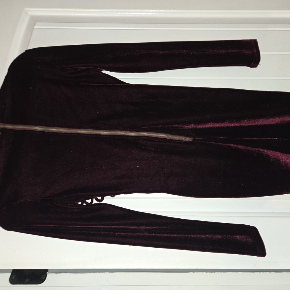 Privy Velvet Mini Dress - Deep Burgundy